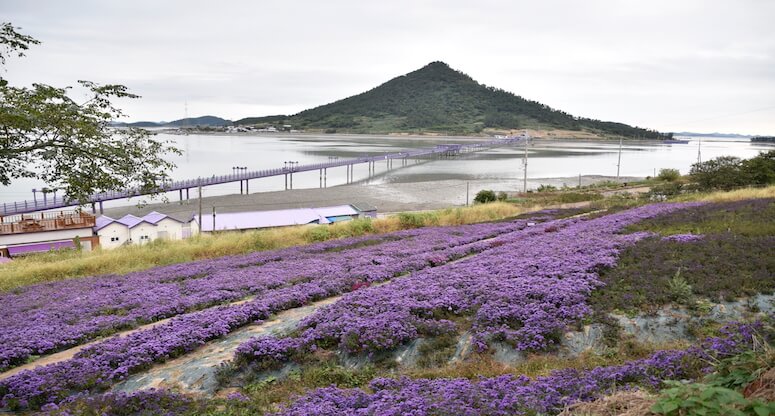 Güney Kore’de Ekoturizmin Deneyimlenebileceği 3 Eşsiz Nokta