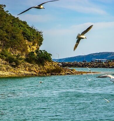 İstanbul'a Yakın Kaçamak Yerleri