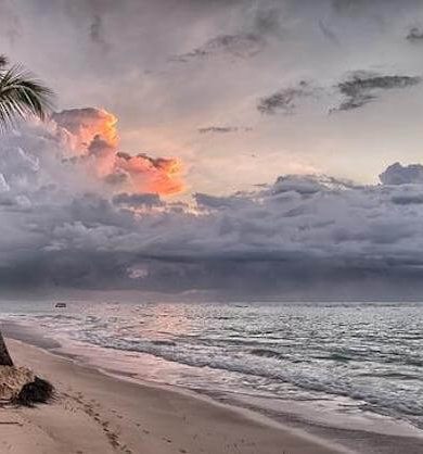 Kadınlar Acente Seçiminde Daha Hassas