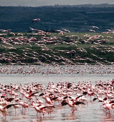 Kenya Gezilecek Yerler