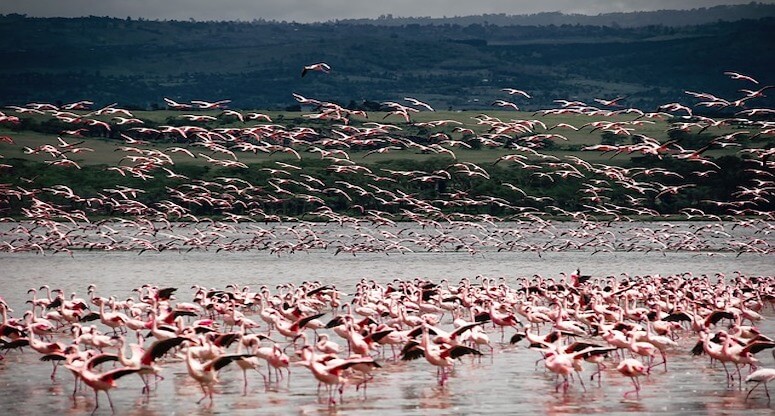 Kenya Gezilecek Yerler