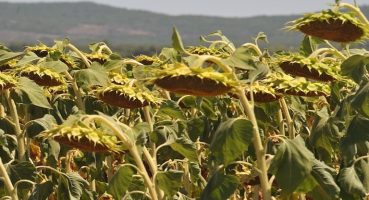 Tekirdağ Gezilecek Yerler