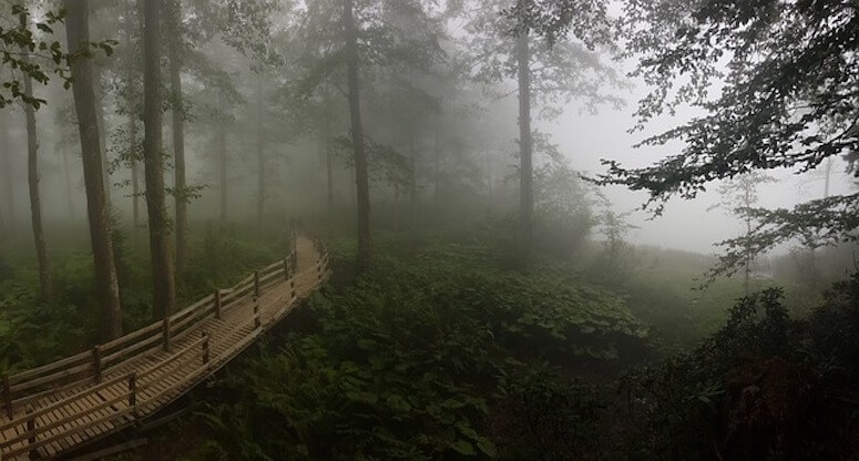 Artvin Gezilecek Yerler