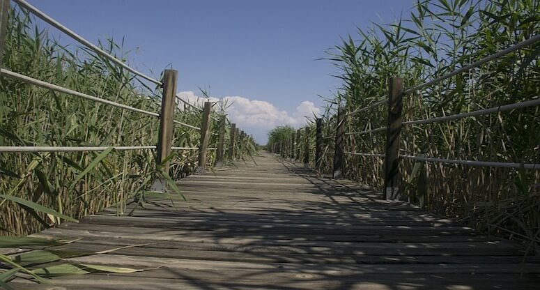 Kayseri Gezilecek Yerler