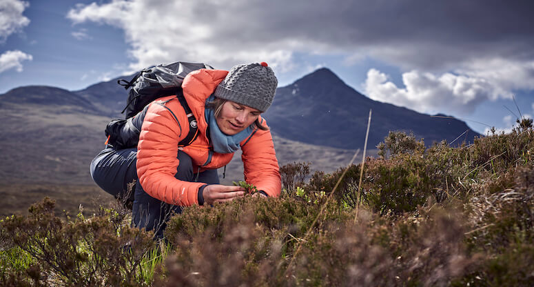 Kuzey Kutbu'nda tehlikeli yeşerme!