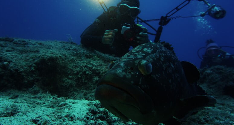 Marmara’dan Akdeniz’e Sürdürülebilirlik Serüveni