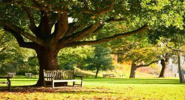 Sakin şehirler hakkında merak edilenler