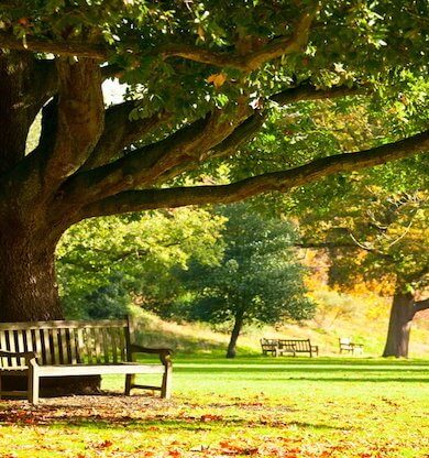 Sakin şehirler hakkında merak edilenler