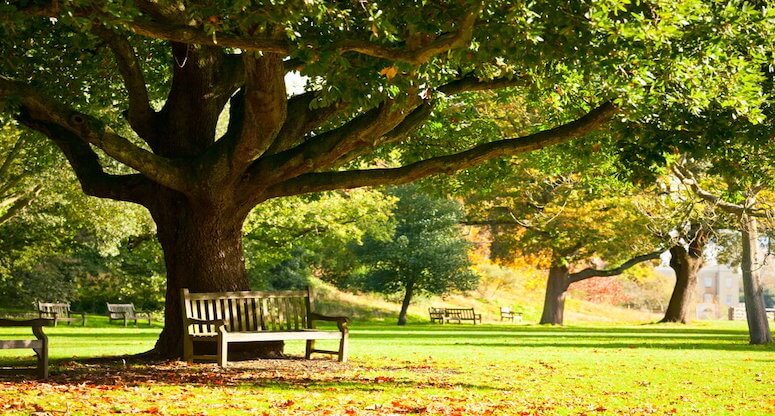 Sakin şehirler hakkında merak edilenler
