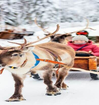 Erken rezervasyonda en çok talep gören turlar
