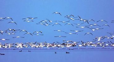 Adana Gezilecek Yerler