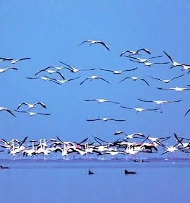 Adana Gezilecek Yerler