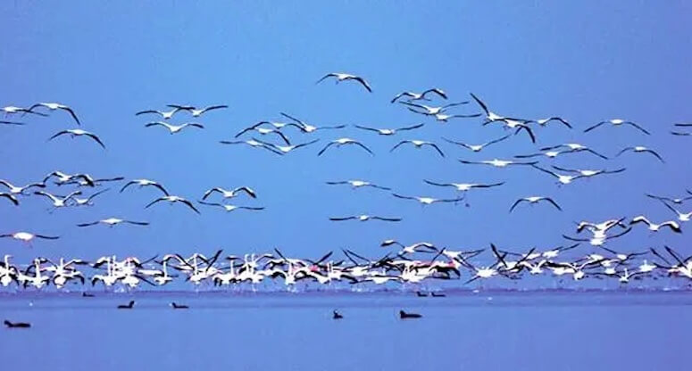 Adana Gezilecek Yerler