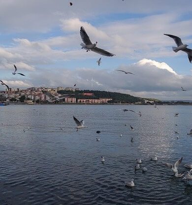 Ezine Gezilecek Yerler