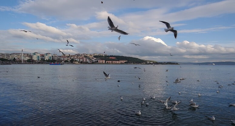 Ezine Gezilecek Yerler