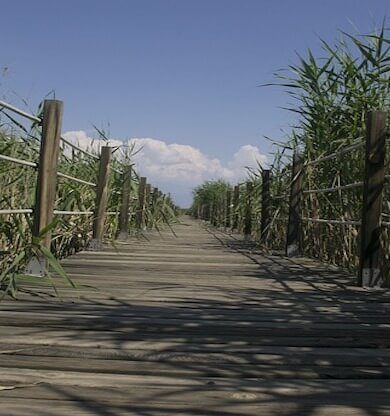 Hem turizm hem de sağlık hizmetlerinde Kayseri yeni tercih oldu