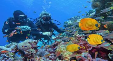 Kültür turlarına talep yüzde 40 arttı