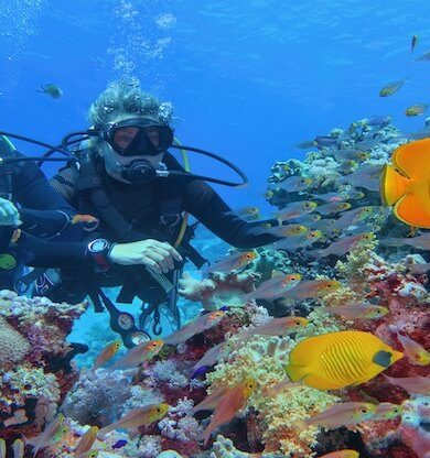 Kültür turlarına talep yüzde 40 arttı