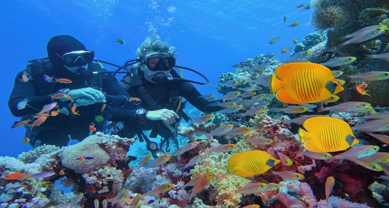Kültür turlarına talep yüzde 40 arttı