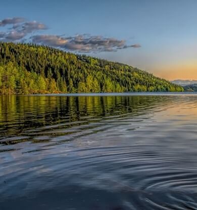 Van’ın Neyi Meşhur