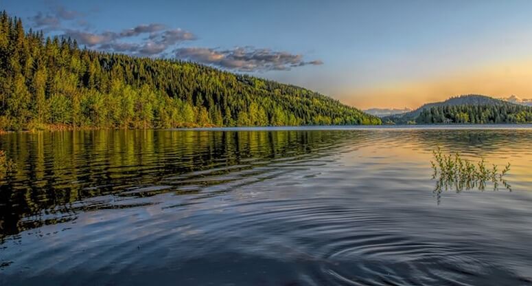 Van’ın Neyi Meşhur