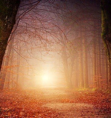 Batum Gezilecek Yerler