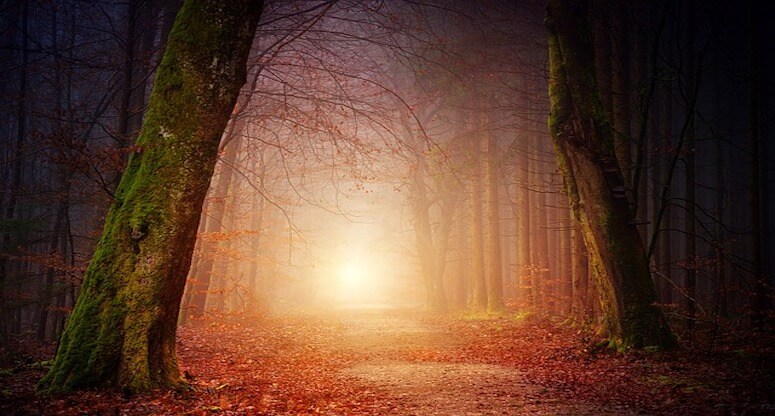 Batum Gezilecek Yerler