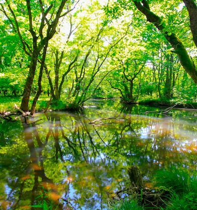 Ramazan Bayramı’nda İstanbul’a yakın tatil önerileri