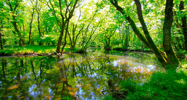 Ramazan Bayramı’nda İstanbul’a yakın tatil önerileri