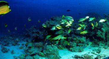 12 ay deniz ve güneşin adresi Mısır Hurghada