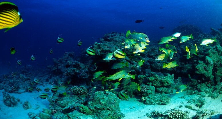 12 ay deniz ve güneşin adresi Mısır Hurghada