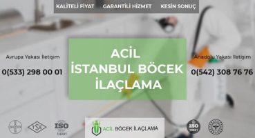 Böcek İlaçlama