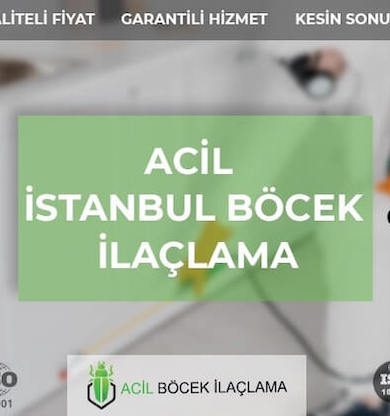 Böcek İlaçlama