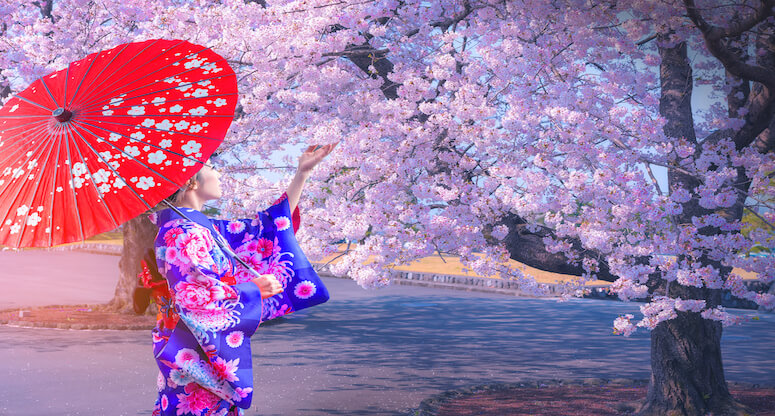 Uzak Doğu’nun kültür cenneti Japonya’ya unutulmaz bir yolculuk