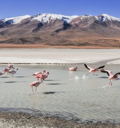 Bolivya Gezilecek Yerler