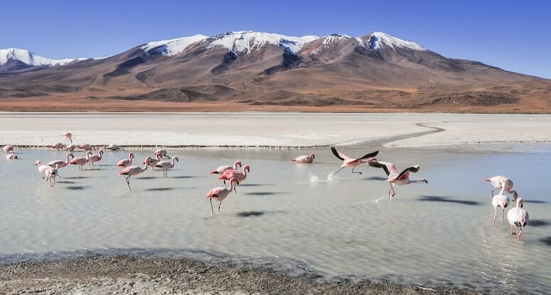 Bolivya Gezilecek Yerler