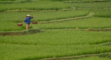 GitmekLazım Renkli Rotalar turu