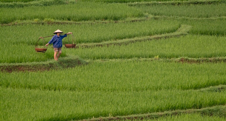 GitmekLazım Renkli Rotalar turu
