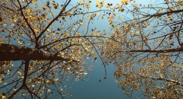 Şile’nin Sonbahar Büyüsüne Davet