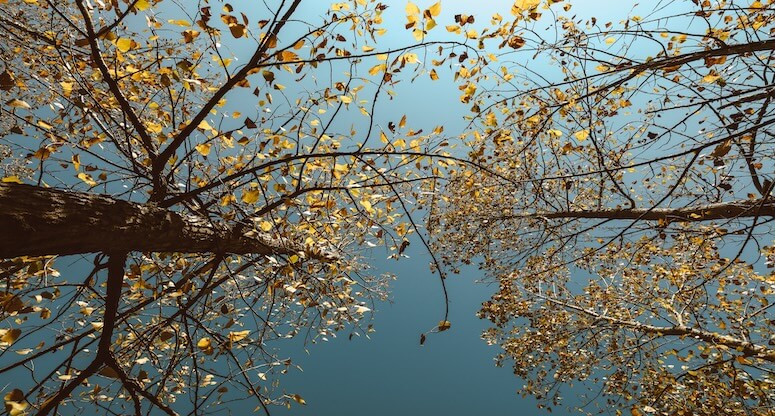 Şile'nin Sonbahar Büyüsüne Davet