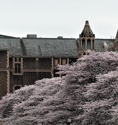 Washington Gezilecek Yerler