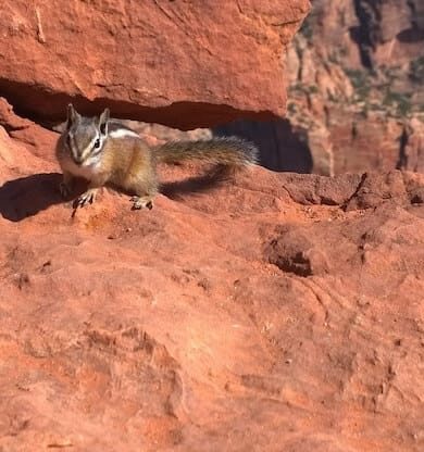 Yürüyüş Rotalarıyla Ünlü Doğa Parkları