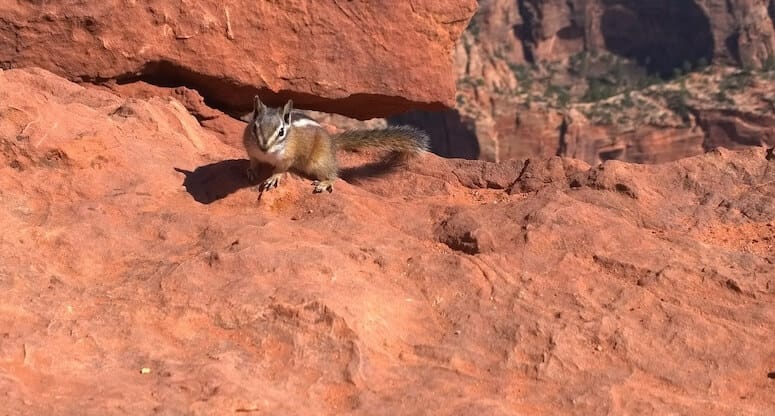 Yürüyüş Rotalarıyla Ünlü Doğa Parkları