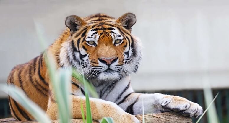 Faruk Yalçın Hayvanat Bahçesi ve Botanik Parkı