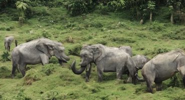 Nepal Gezilecek Yerler