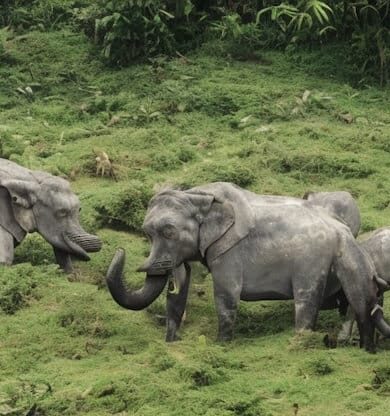 Nepal Gezilecek Yerler