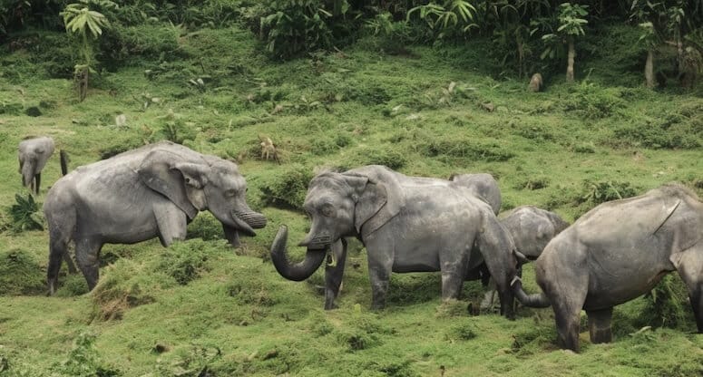 Nepal Gezilecek Yerler