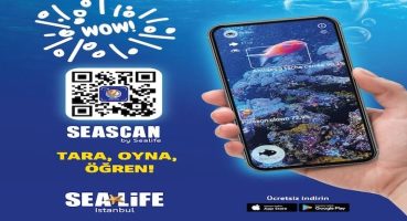 Okyanusların Gizemli Dünyası Parmaklarınızın Ucunda!