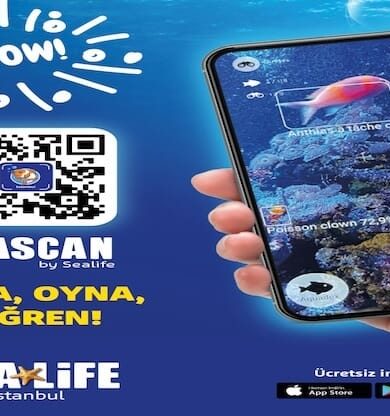 Okyanusların Gizemli Dünyası Parmaklarınızın Ucunda!