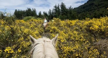 Arjantin Gezilecek Yerler: Güney Amerika’nın Görkemli İncisi